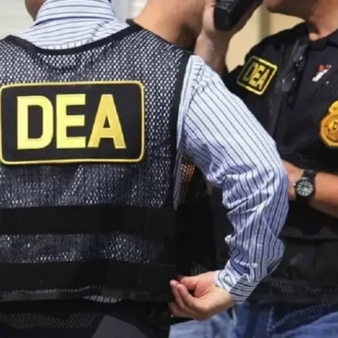 dea-3eedebe9-focus-min0.3-0.4-896-504