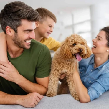 img_6134629c33e11895a3a1fe6831e7c31d