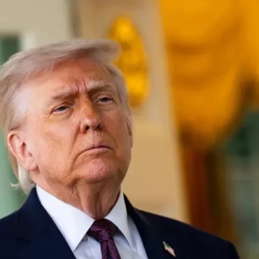 trump-mcd-efe-16d3d255121182ef38cbfef624fc77612a18501bw-d2b6b356-focus-min0.18-0.25-896-504